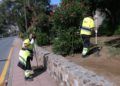 trabajadores-tragsa-medio-ambiente-jardines-zonas-verdes-10