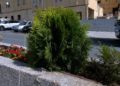 trabajadores-tragsa-medio-ambiente-jardines-zonas-verdes-14