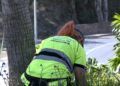 trabajadores-tragsa-medio-ambiente-jardines-zonas-verdes-20