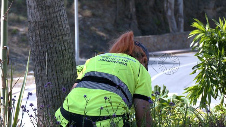 trabajadores-tragsa-medio-ambiente-jardines-zonas-verdes-20