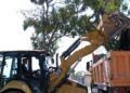 trabajadores-tragsa-medio-ambiente-jardines-zonas-verdes-28