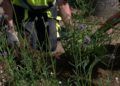 trabajadores-tragsa-medio-ambiente-jardines-zonas-verdes-3