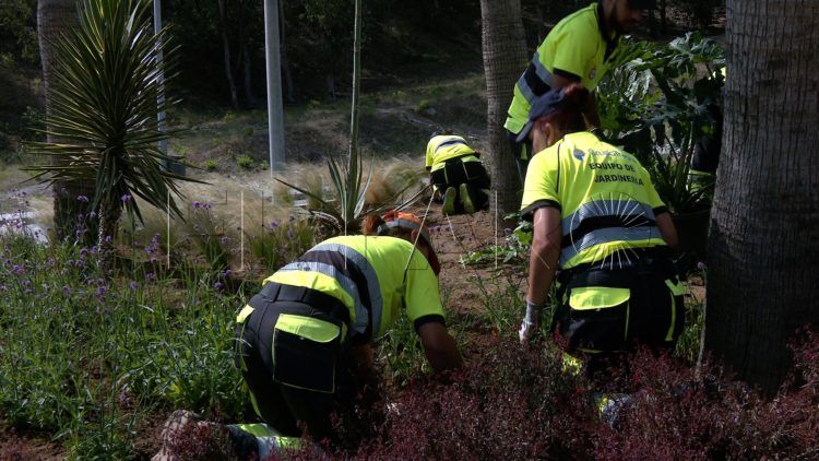 trabajadores-tragsa-medio-ambiente-jardines-zonas-verdes-4