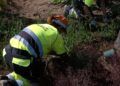 trabajadores-tragsa-medio-ambiente-jardines-zonas-verdes-5
