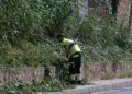 trabajadores-tragsa-medio-ambiente-jardines-zonas-verdes-7