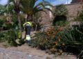 trabajadores-tragsa-medio-ambiente-jardines-zonas-verdes-8