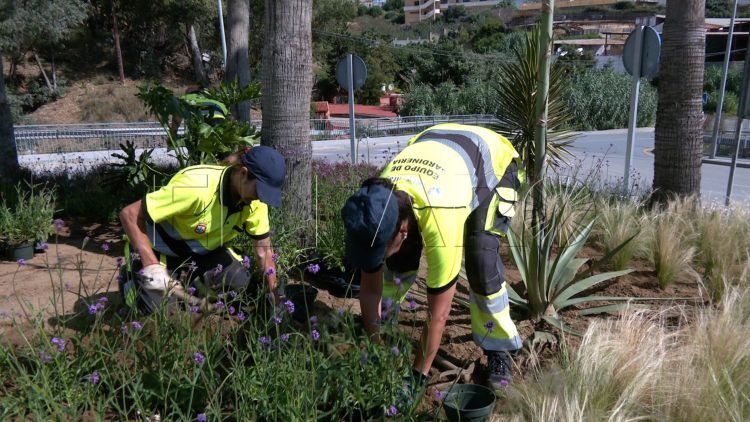 trabajadores-tragsa-medio-ambiente-jardines-zonas-verdes-9