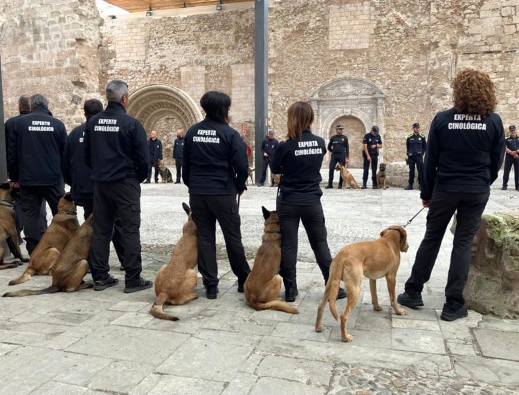 unidad-canina-antidroga-carcel-ceuta-5