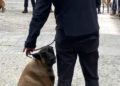 unidad-canina-antidroga-carcel-ceuta-6