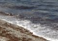 algas-playa-calamocarro-14