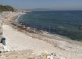 algas-playa-calamocarro-2