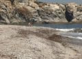 algas-playa-calamocarro-9