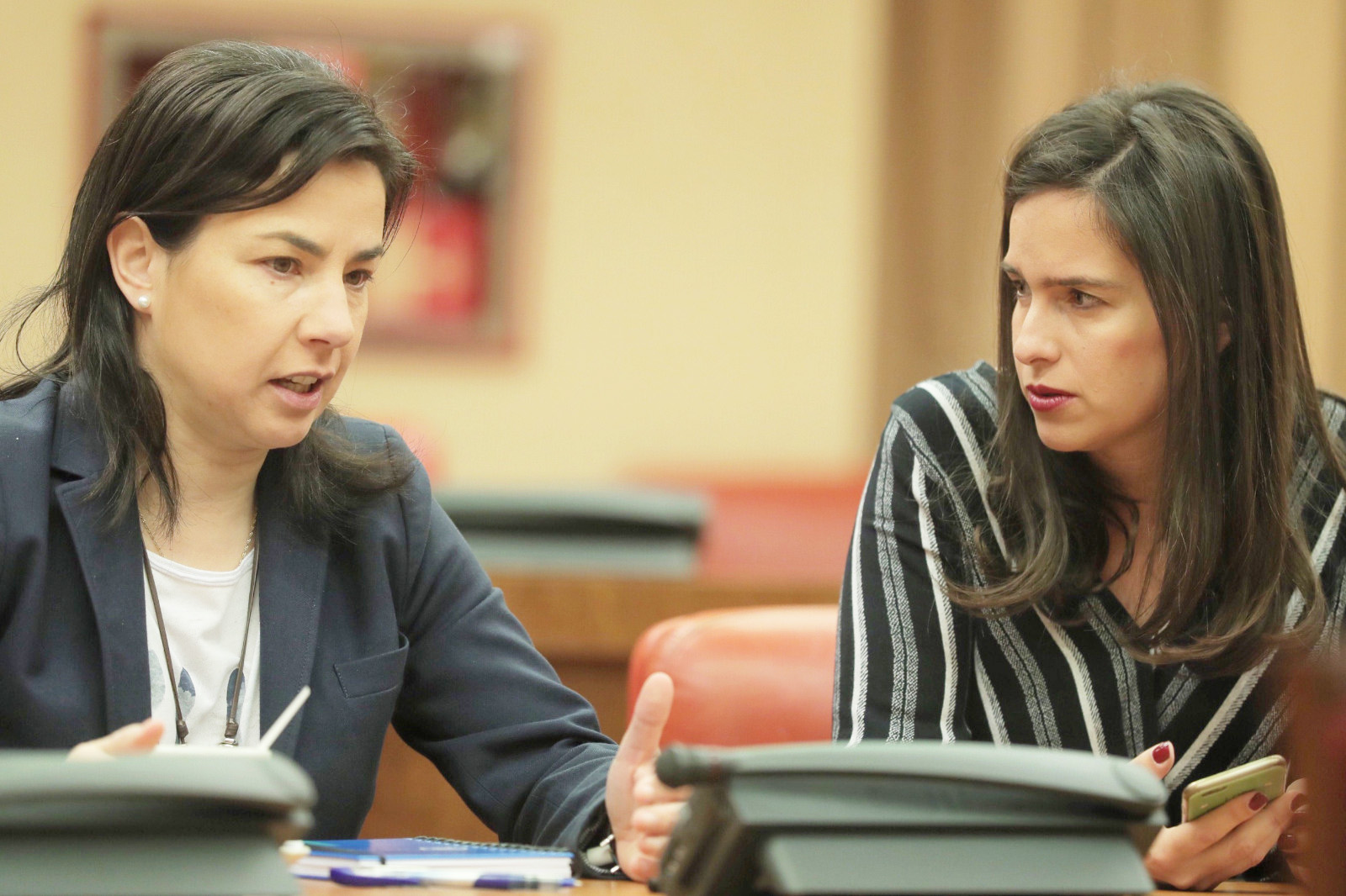 ana-vazquez-diputada-congreso-pp-interior-3