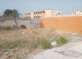 arboles-maleza-barriada-tejar-ingenieros-1