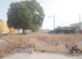 arboles-maleza-barriada-tejar-ingenieros-3