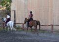 curso-iniciacion-hipica-equitacion-caballos-004