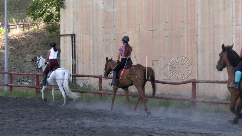 curso-iniciacion-hipica-equitacion-caballos-004