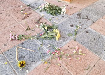 destrozos-flores-jardineras-flores-capillita-poligono-1