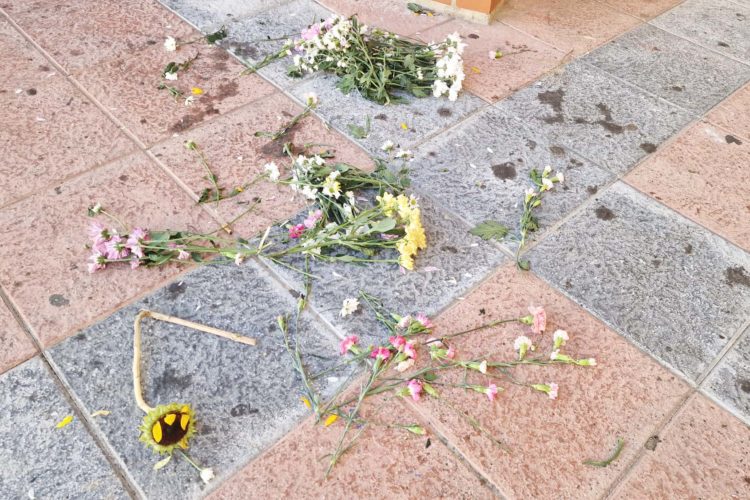 destrozos-flores-jardineras-flores-capillita-poligono-1