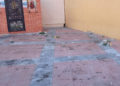 destrozos-flores-jardineras-flores-capillita-poligono-3