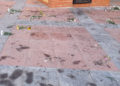 destrozos-flores-jardineras-flores-capillita-poligono-4