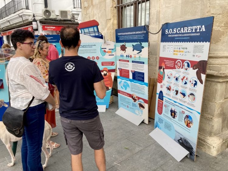 exposicion-itinerante-sos-caretta-pescadores-biodiversidad-sanlucar-001