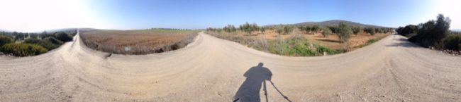 naci-merida-soy-mirandilla-003