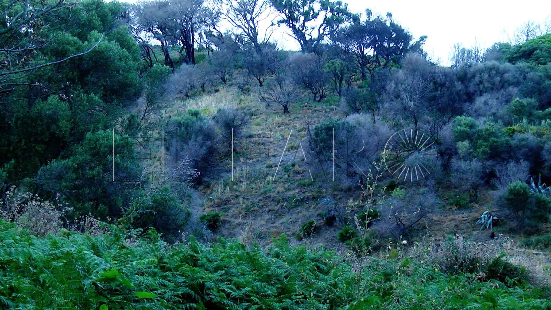 primer-aniversario-incendio-calamocarro-18