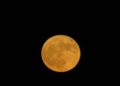superluna-luna-ciervo-5