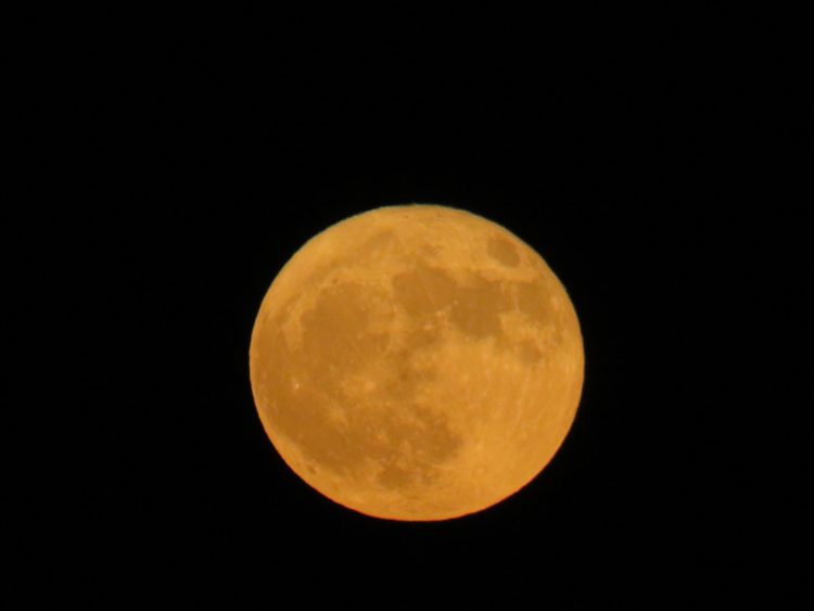 superluna-luna-ciervo-6