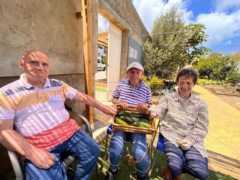 frutos-huerto-plena-inclusion-011