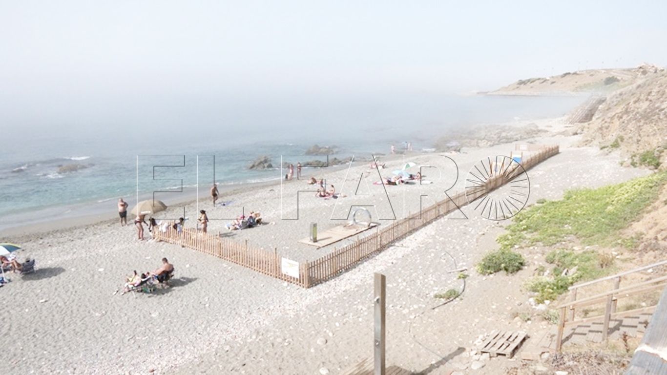 playa-perros-mucho-mejorar-003-portada