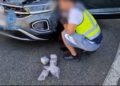 policia-nacional-hachis-coche-ceuta-puerto-algeciras-3