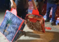 alas-protectoras-ayuda-terremoto-marruecos-7