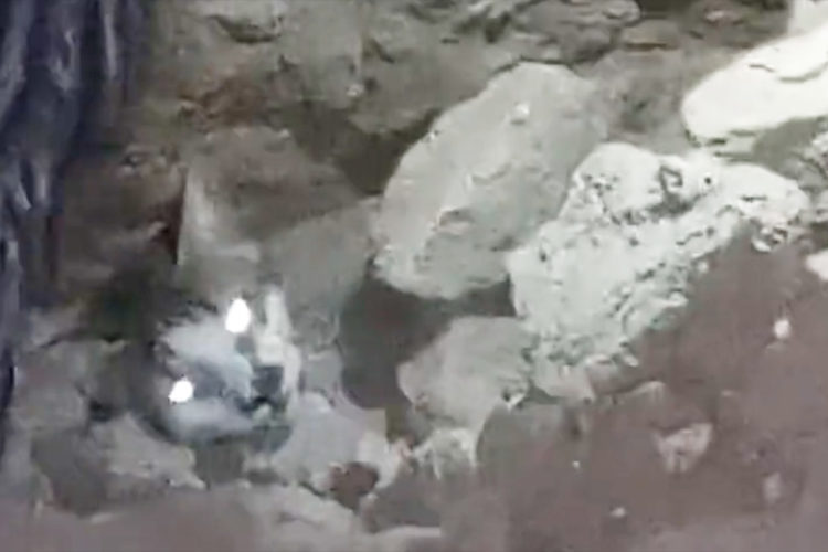 anciano-logra-rescatar-gato-escombros-terremoto-marruecos