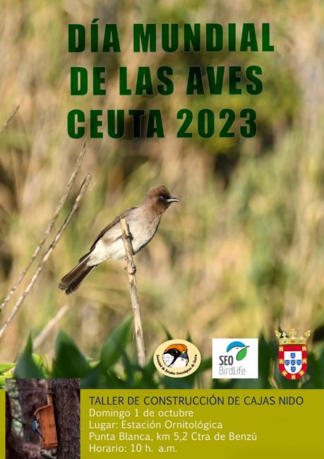 cartel-dia-aves-seo-bird-life-2023