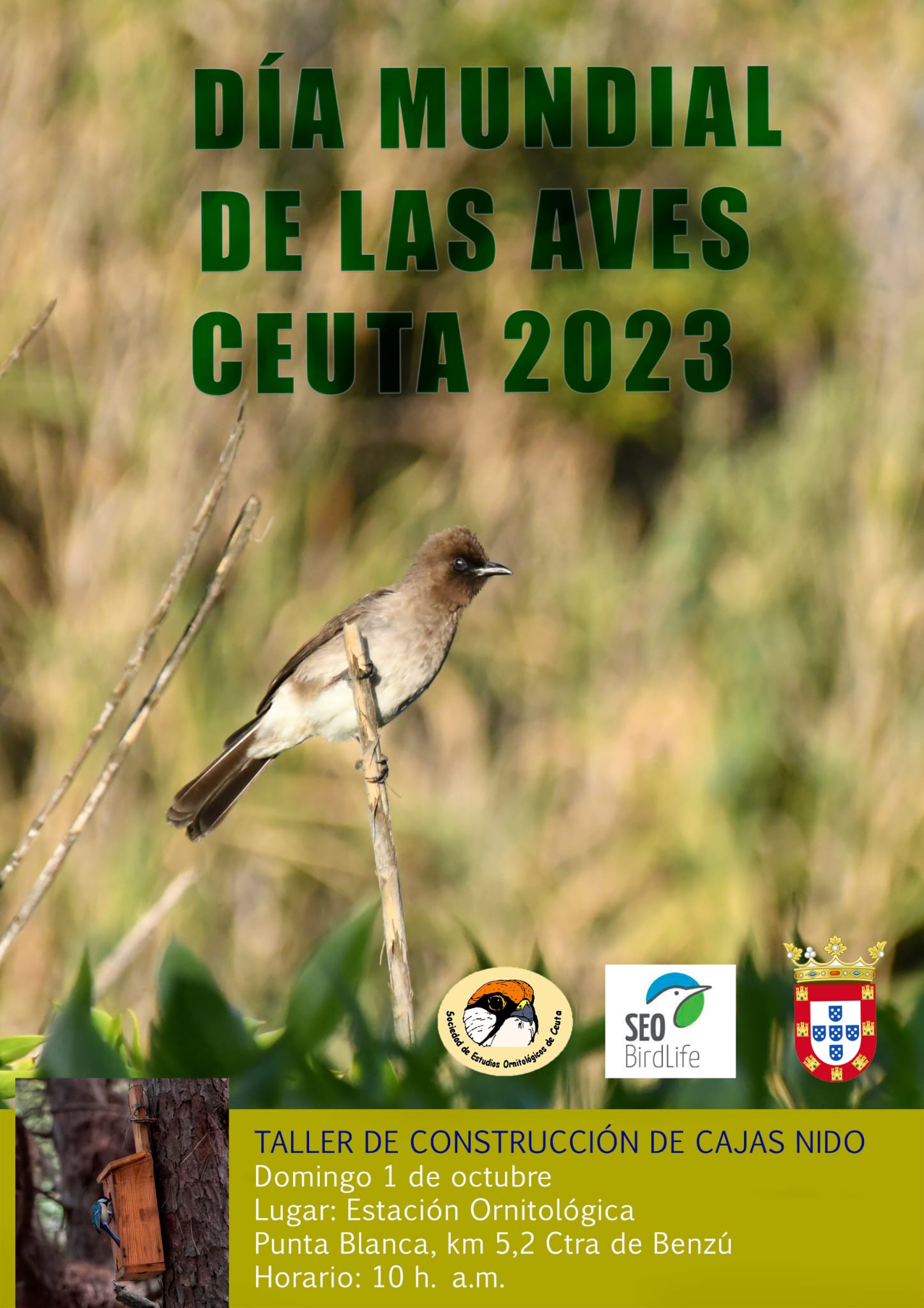 cartel-dia-aves-seo-bird-life-2023