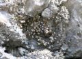 cueva-abrigo-benzu-visita-yacimiento-arqueologico-benzu-19
