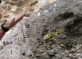 cueva-abrigo-benzu-visita-yacimiento-arqueologico-benzu-21