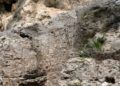 cueva-abrigo-benzu-visita-yacimiento-arqueologico-benzu-4