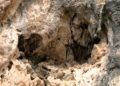 cueva-abrigo-benzu-visita-yacimiento-arqueologico-benzu-7