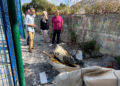 gutierrez-psoe-visita-barriada-polideportivo-cortijo-moreno-4