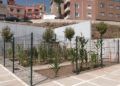 huerto-ecologico-hassan-principe-18