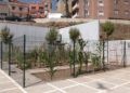 huerto-ecologico-hassan-principe-3