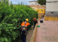 trabajos-limpieza-vertical-tragsa-rosales-1