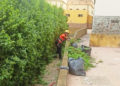 trabajos-limpieza-vertical-tragsa-rosales-10