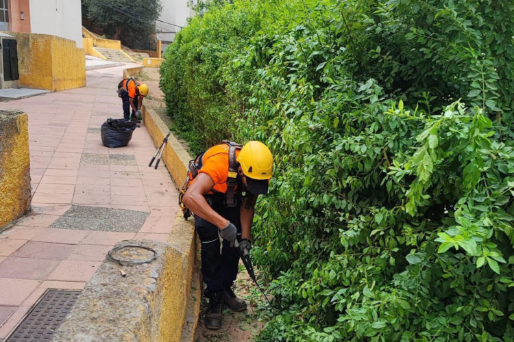trabajos-limpieza-vertical-tragsa-rosales-2