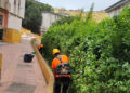 trabajos-limpieza-vertical-tragsa-rosales-3