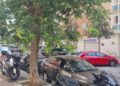 vecinos-piden-poda-arboles-parques-ceuta-2