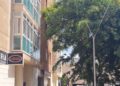 vecinos-piden-poda-arboles-parques-ceuta-3